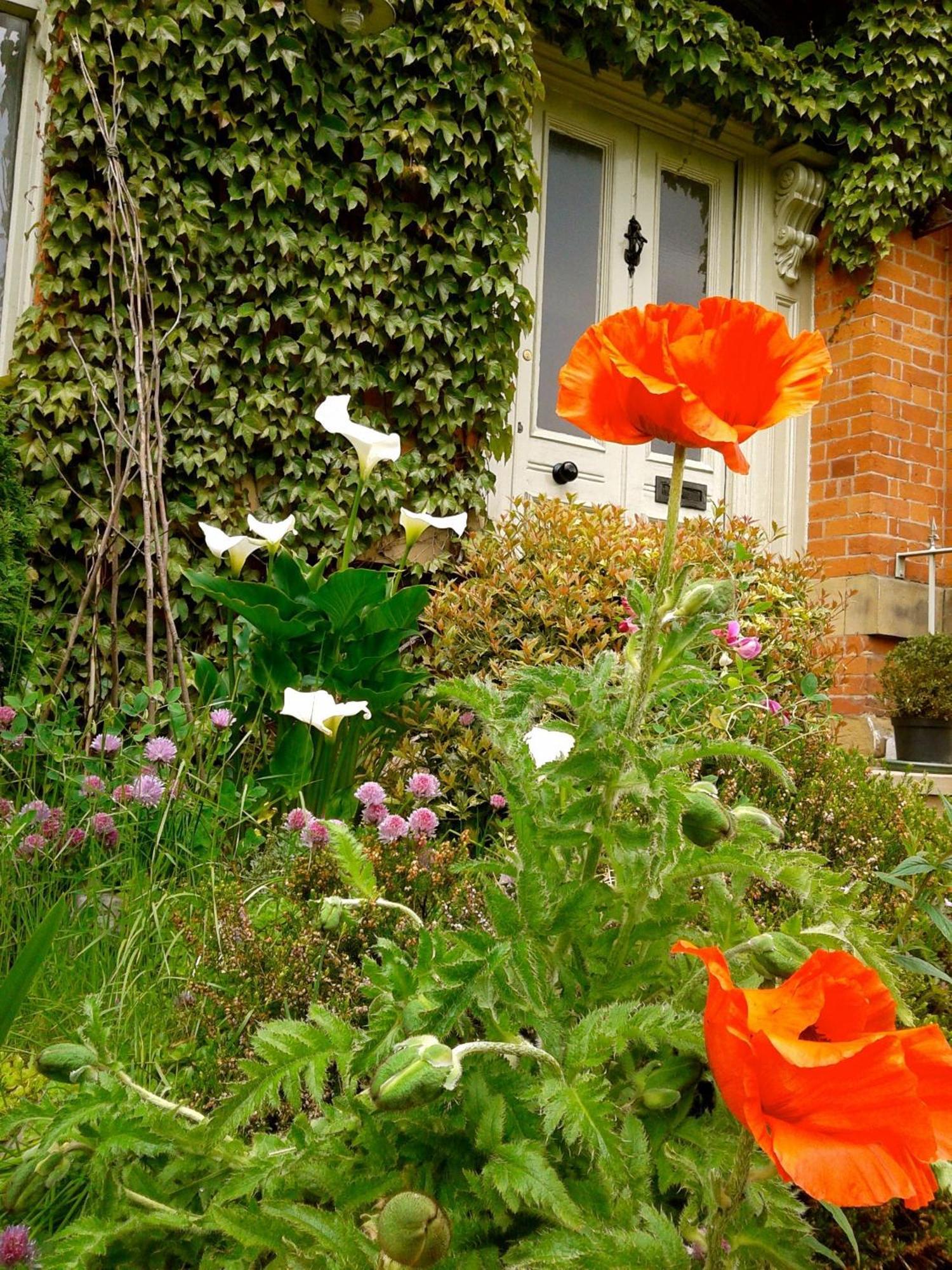 Cornerstones Guest House Sale Dış mekan fotoğraf